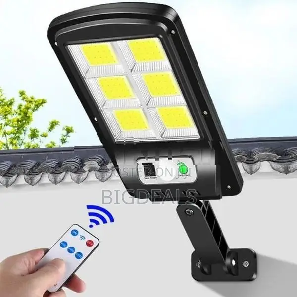 Solar induction Wall Lamp