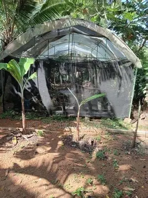 Polithin House