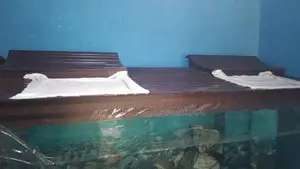 Fish Tank