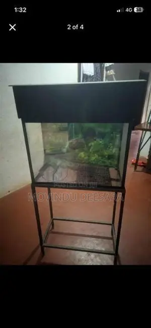 Fish Tank
