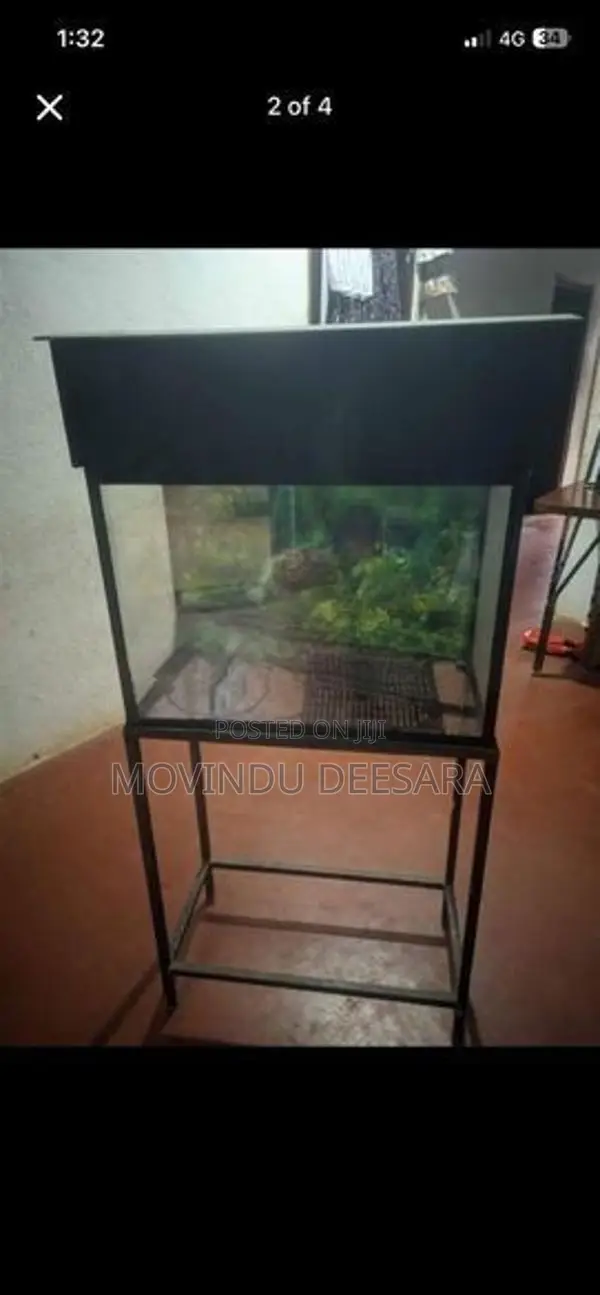 Fish Tank