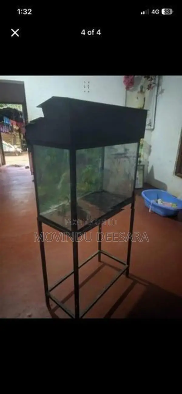 Fish Tank