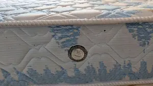 Arpico flexiform spring Mattress
