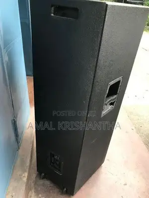Double 15 speaker
