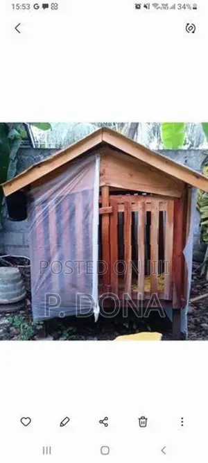Dog Cage