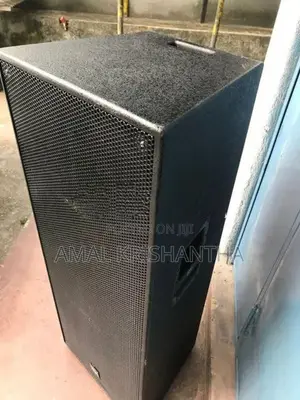 Double 15 speaker