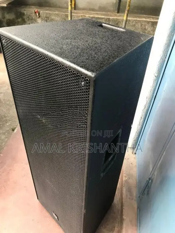 Double 15 speaker