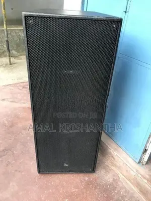 Double 15 speaker