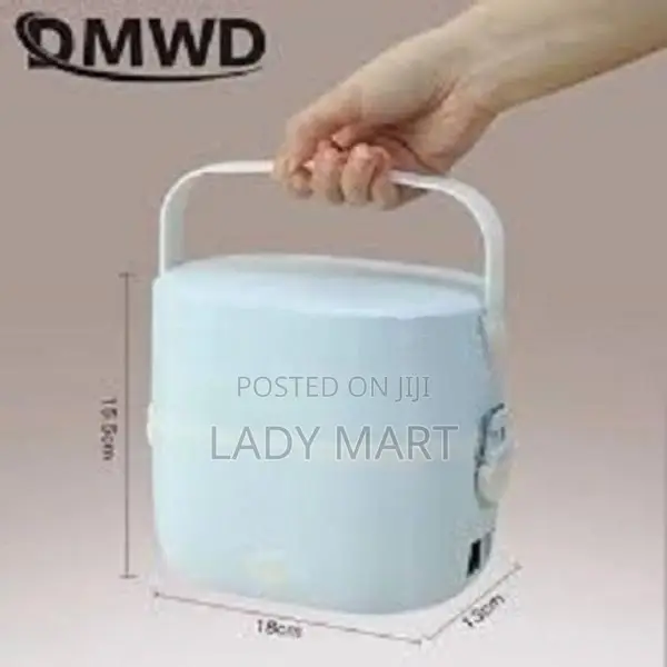 Double Layer Heating - High Quality Lunch Steamer Box