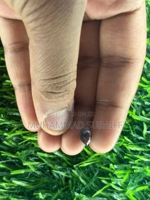 GEM With JEWELRY