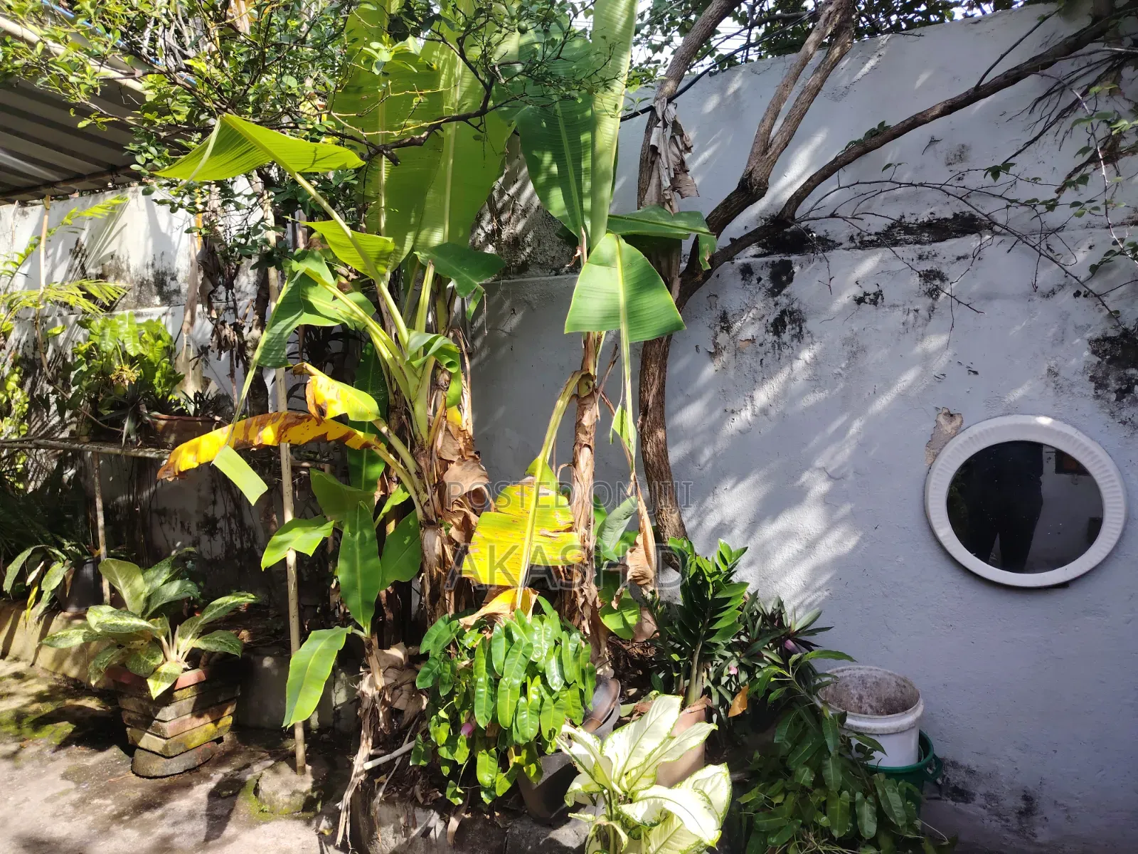Prime Land for Sale – Kynsey Road, Colombo 08