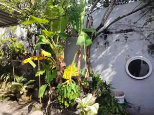 Prime Land for Sale – Kynsey Road, Colombo 08