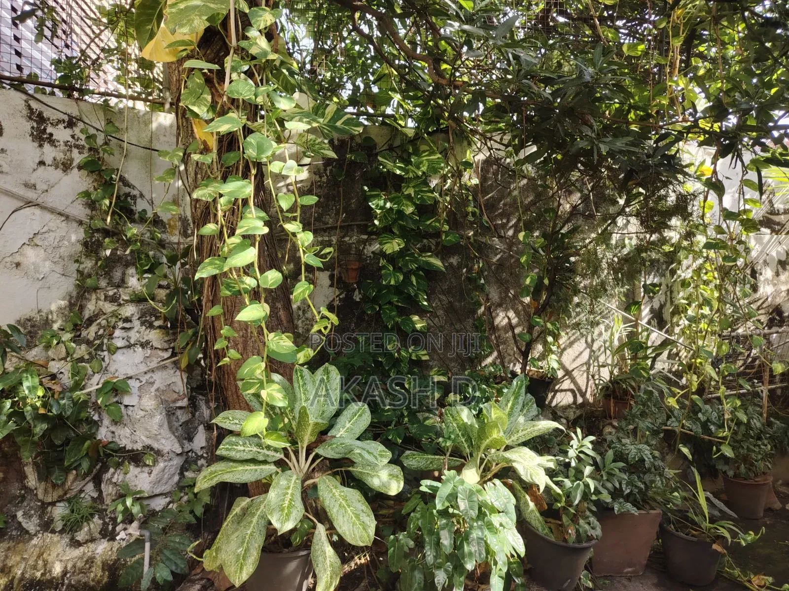 Prime Land for Sale – Kynsey Road, Colombo 08