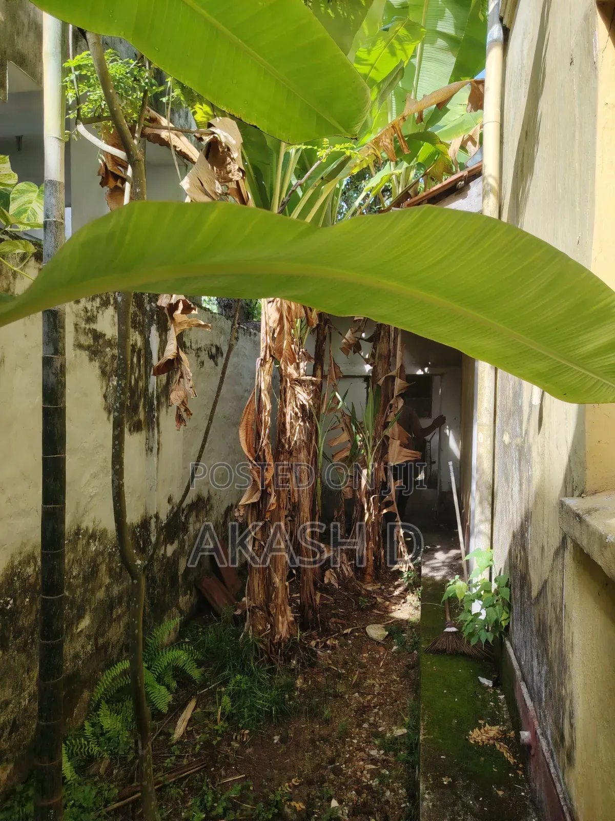 Prime Land for Sale – Kynsey Road, Colombo 08