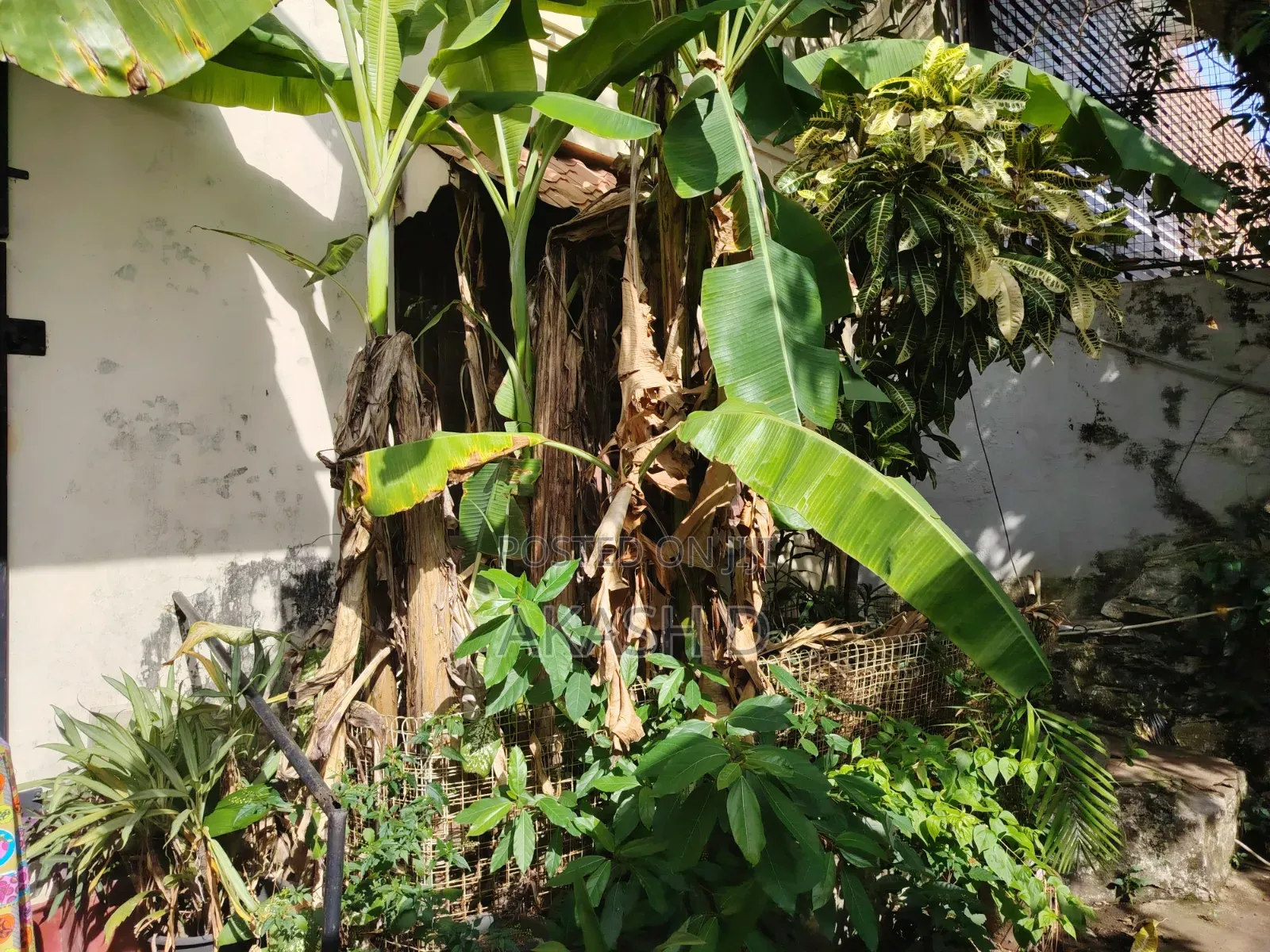 Prime Land for Sale – Kynsey Road, Colombo 08