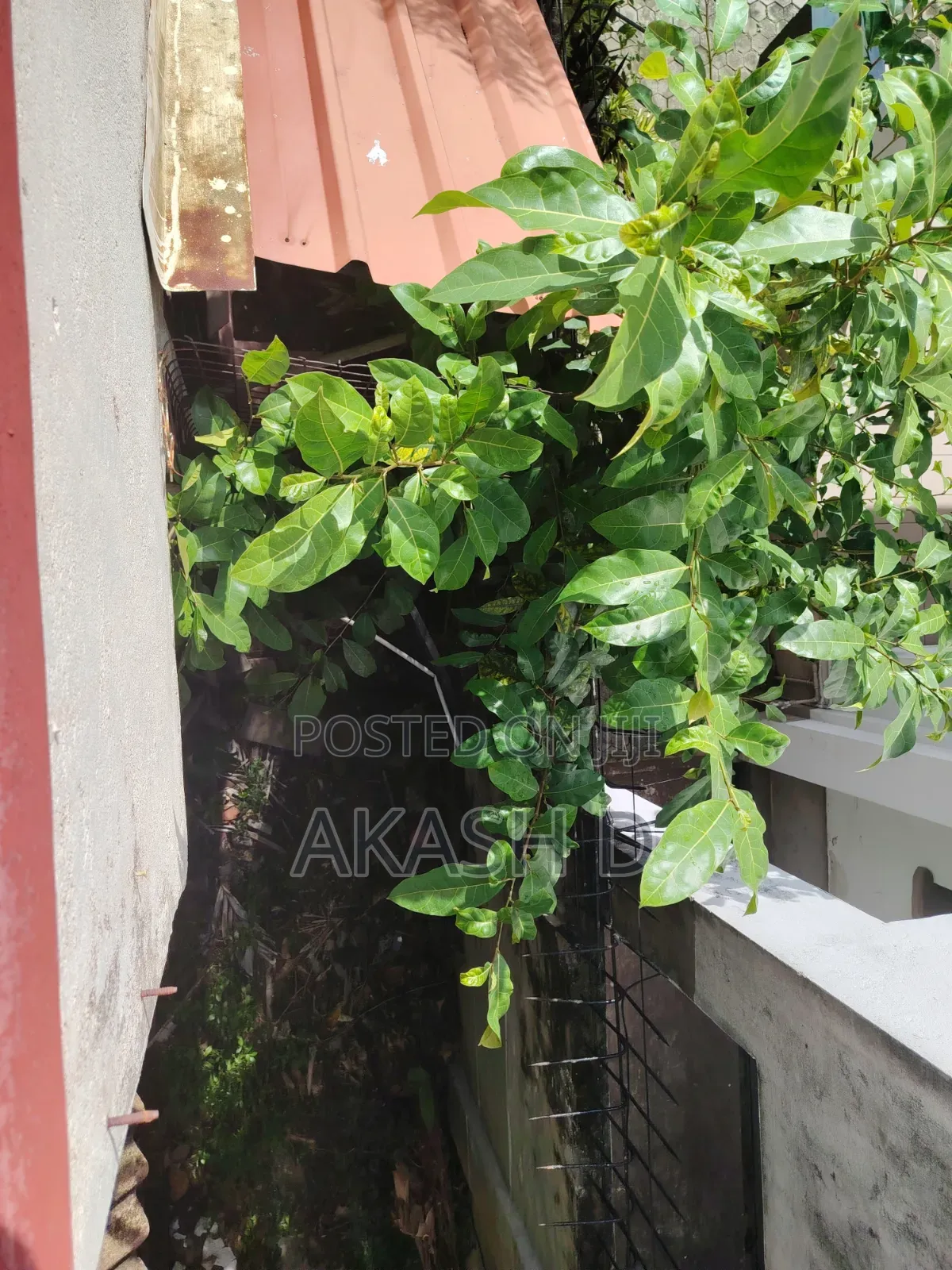 Prime Land for Sale – Kynsey Road, Colombo 08