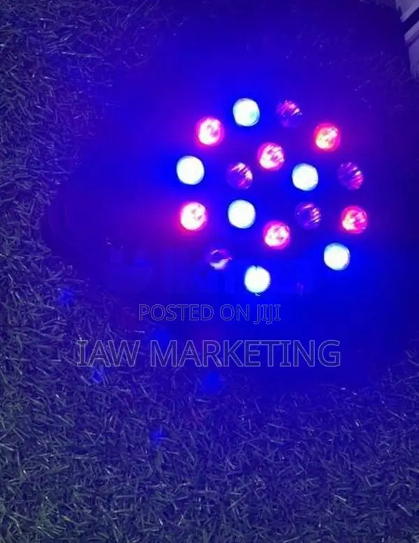 DJ Light