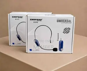Wireless Head Mic