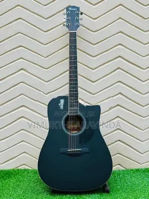 Acoustic guitar