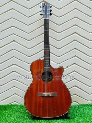 Acoustic guitar