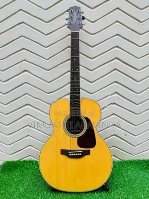 Takamine acoustic guitar