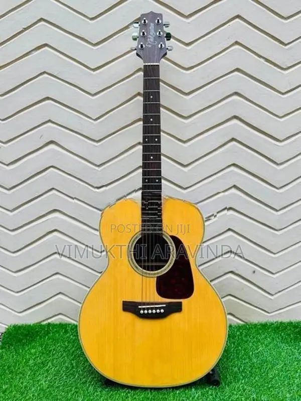 Takamine acoustic guitar