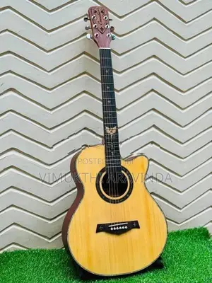 Brand New Crusader Acoustic Guitar