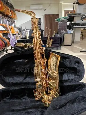 VIF USA Alto Saxophone