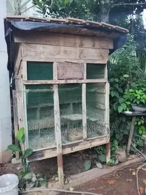 කුරුලු කූඩු