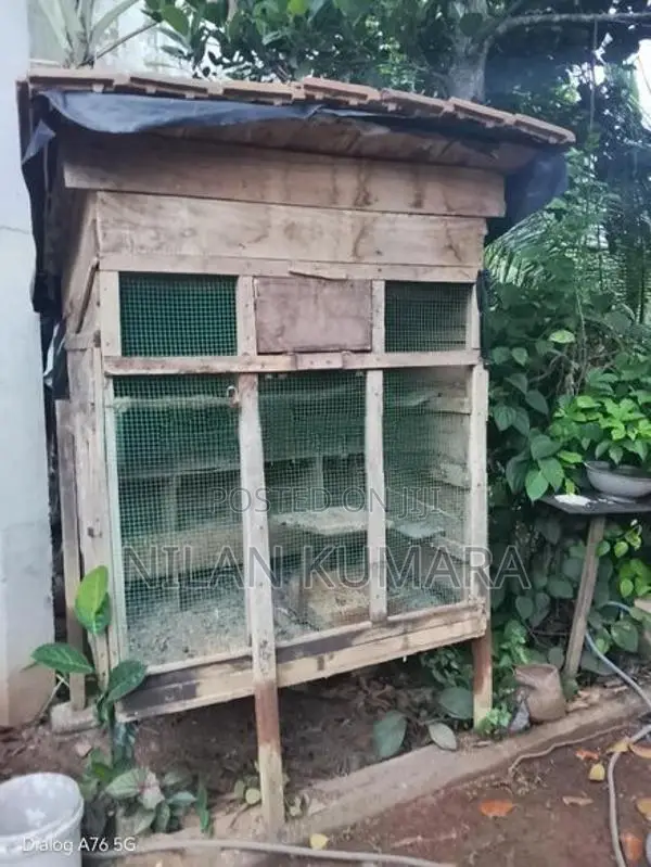 කුරුලු කූඩු