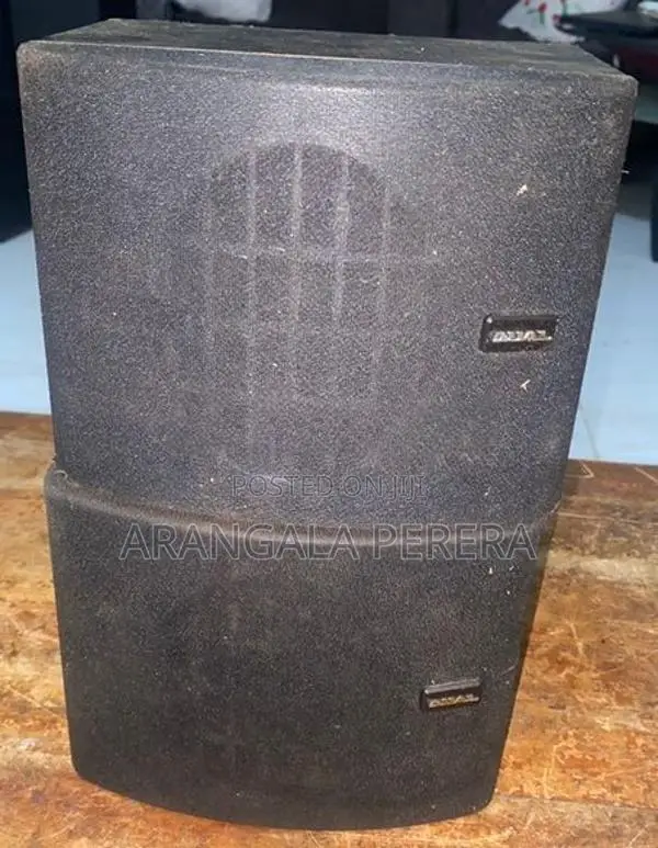 Dual Surround Speakers
