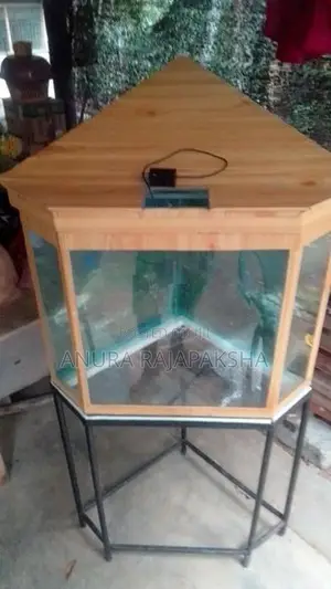 Fish Tank