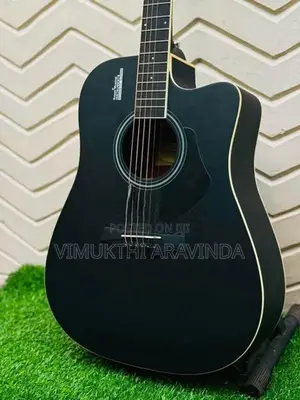 Acoustic guitar