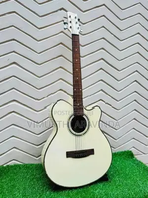 Acoustic guitar