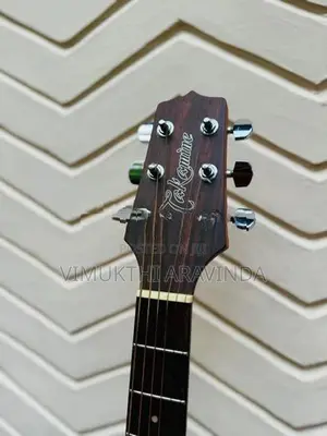 Takamine acoustic guitar