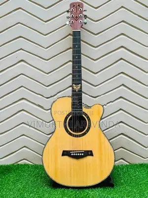 Brand New Crusader Acoustic Guitar