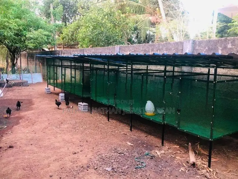 கோழி வளர்ப்பதற்கான கூடு
