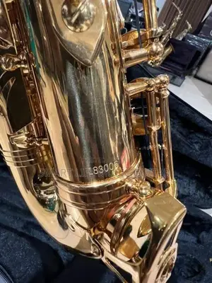 VIF USA Alto Saxophone