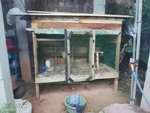 කුරුලු කූඩු