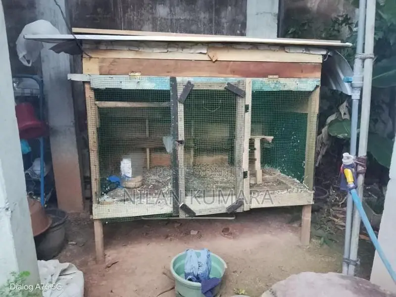 කුරුලු කූඩු