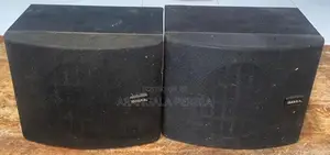 Dual Surround Speakers