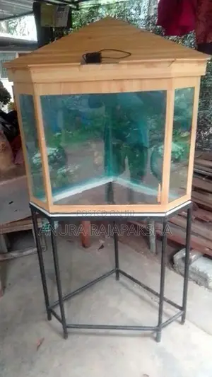 Fish Tank