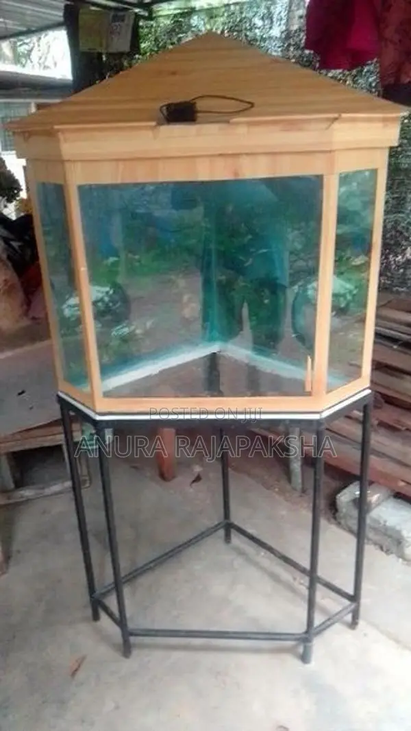 Fish Tank
