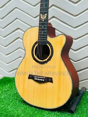 Brand New Crusader Acoustic Guitar