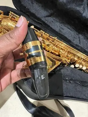 VIF USA Alto Saxophone