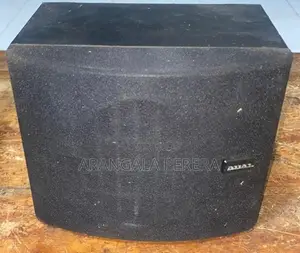 Dual Surround Speakers