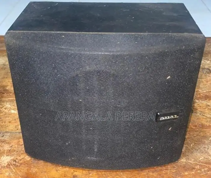 Dual Surround Speakers