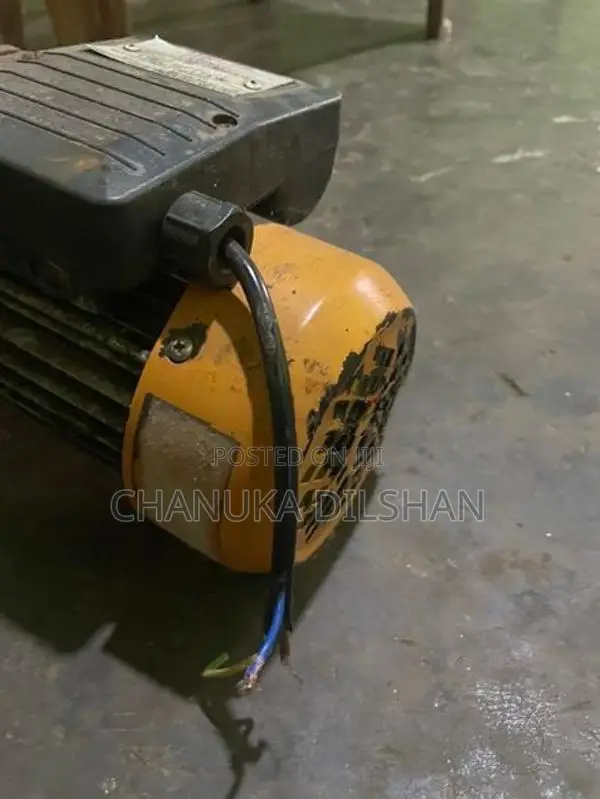 Singer Water Pump