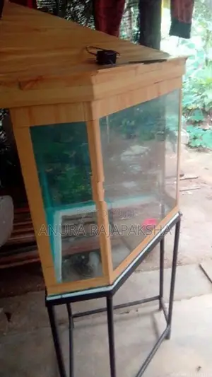Fish Tank