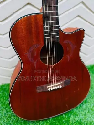 Acoustic guitar